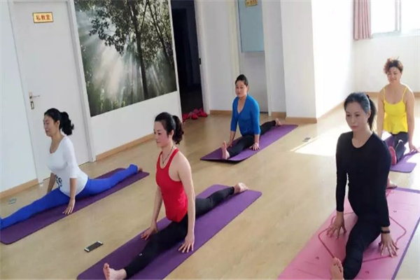 鑫舞国际瑜伽培训招牌