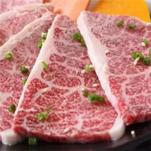 桢极炙烤肉