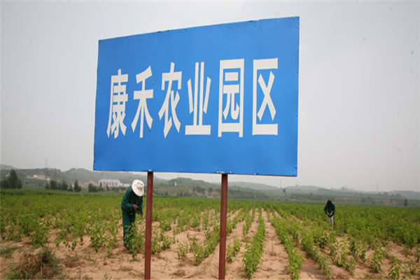 山西康禾农业有限责任公司农业园区