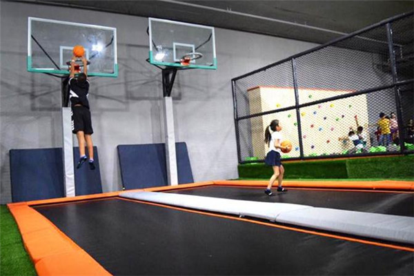 立本蹦床篮球