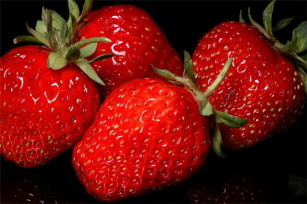 圆果果草莓