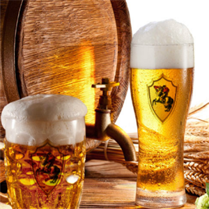 动力时代啤酒加盟