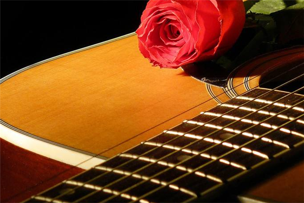爱乐吉他音乐花朵