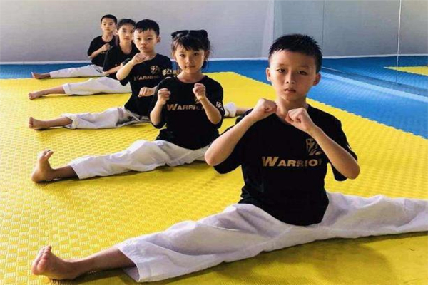 汉之跆拳道训练