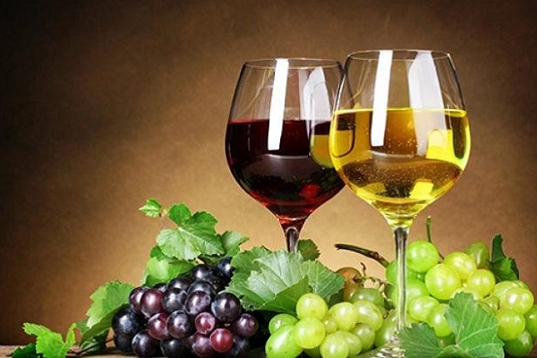 法国干红葡萄酒加盟品牌哪家好