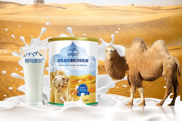 骆驼奶粉怎么加盟代理