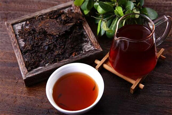 高黎贡山普洱茶展示