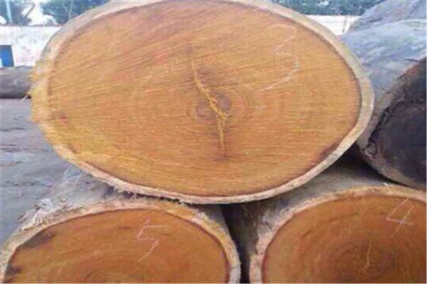 韵桐木业木材