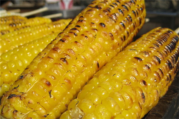 莱州玉米展示
