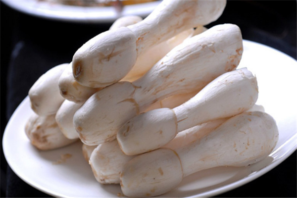 蜀南竹海食用菌产品