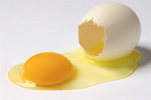 博臻蛋白制品鸡蛋