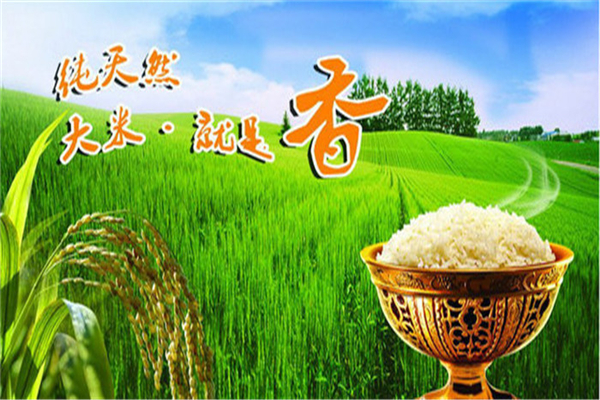 天灌米业产品