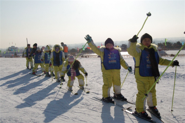 菁果国际教育滑雪