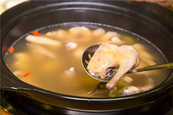鸽子汤中含有诸多营业充分