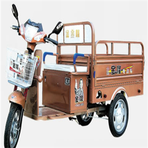 金隆电动三轮车