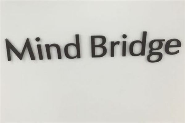 怎么加盟mindbridge？