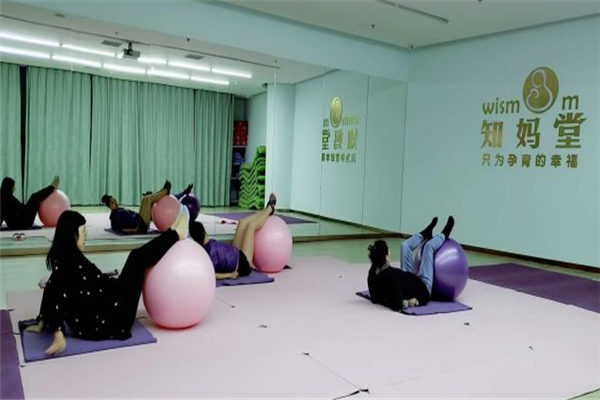 知妈堂孕期教育中心瑜伽球