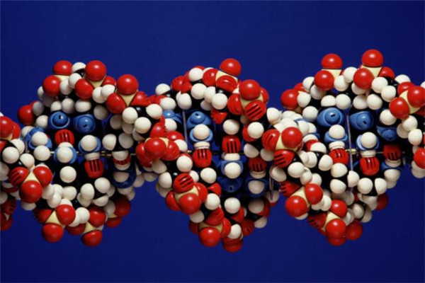 野宝药业基因组
