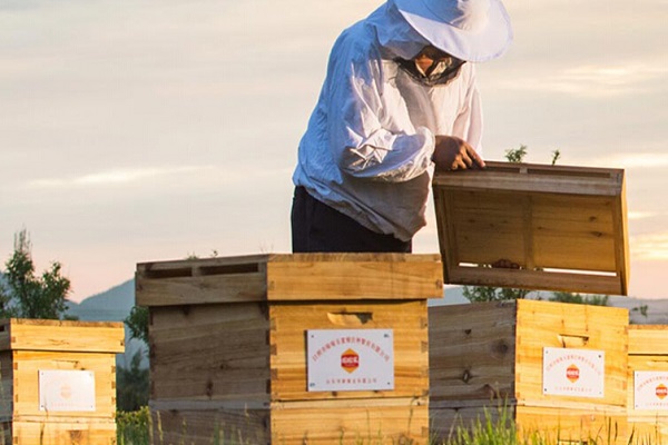 颐寿园蜂产品自然