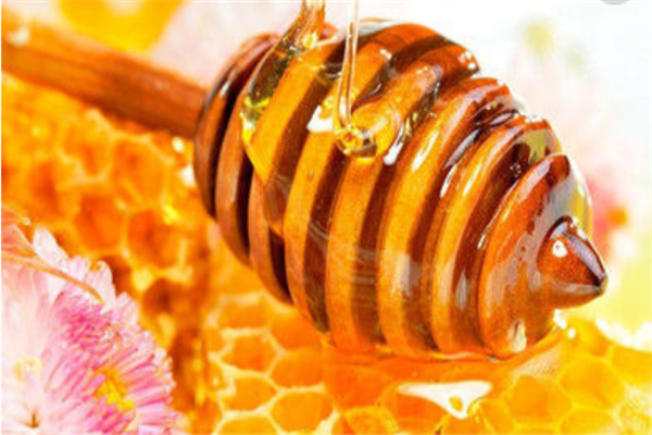 哈尼神蕾蜂产品营养