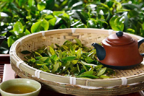 慧芳茶业-健康