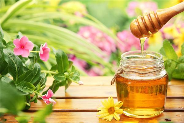 蜂语康蜂产品-健康