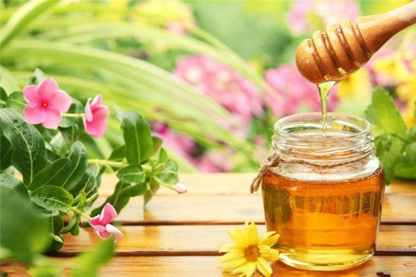 明园蜂产品蜂蜜