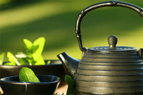 茶寿生态茶叶一壶