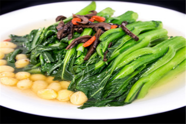 东北风餐饮蔬菜