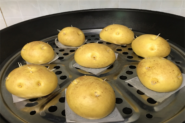 土豆馒头加盟
