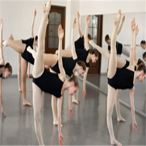 春蕾舞蹈培训中心