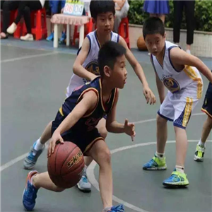 飞鹤青少年篮球俱乐部