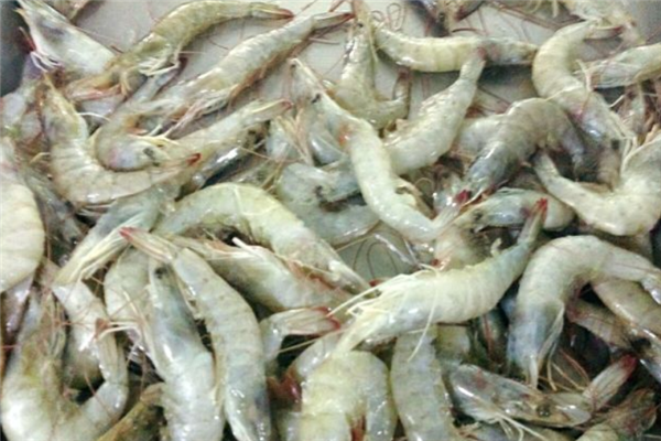 鹏旎海鲜虾肉