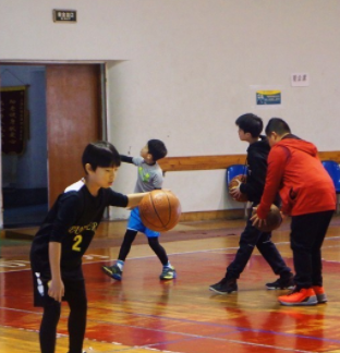 鼎胜青少年篮球训练营