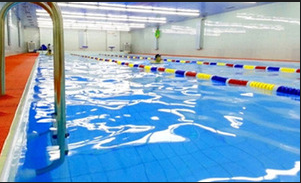 EST游泳培訓俱樂部訓練