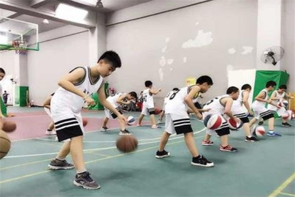 BUFFALO篮球培训教育