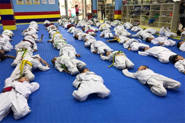 百极行体育跆拳道武术击剑课程