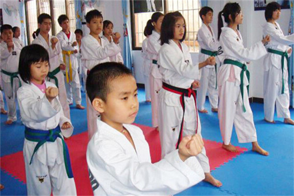 成长季国际青少儿跆拳道教学