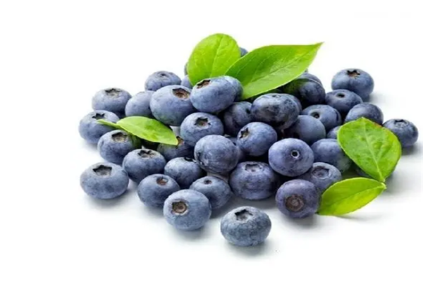 果果的家蓝莓
