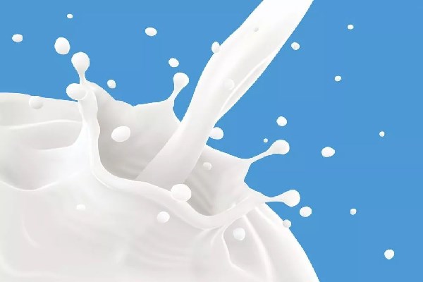 乐昌牛奶-健康