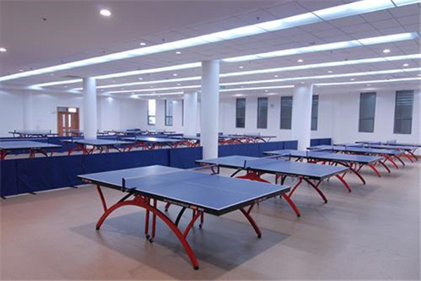 潮盛乒乓球培训中心训练室
