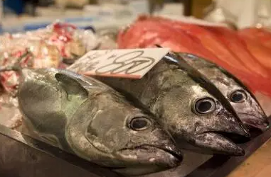 长崎鲜鱼市场