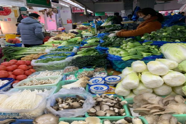 余姚菜市场绿色蔬菜