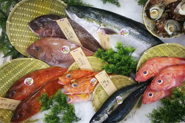 长崎鲜鱼市场红鱼
