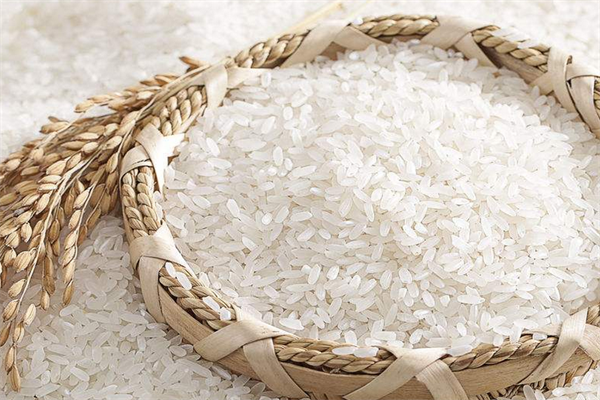 米面粮油批发卫生