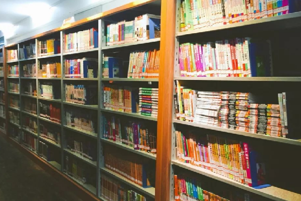 北京飞石图书儿童书架