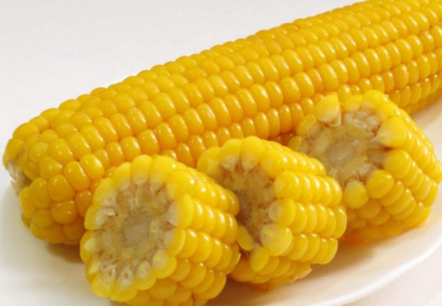 玉米加盟