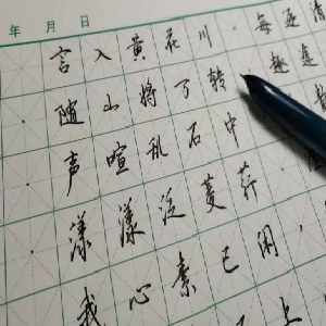  Join in calligraphy practice