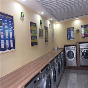 共享洗衣机品牌