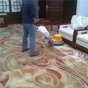  Carpet cleaning brand